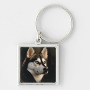 Schönes Husky Throw Kissen Schlüsselanhänger
