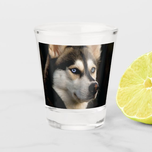 Schönes Husky Throw Kissen Schnapsglas (Vorderseite)