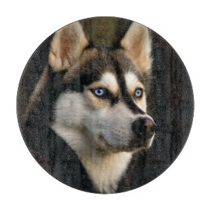 Schönes Husky Throw Kissen Schneidebrett