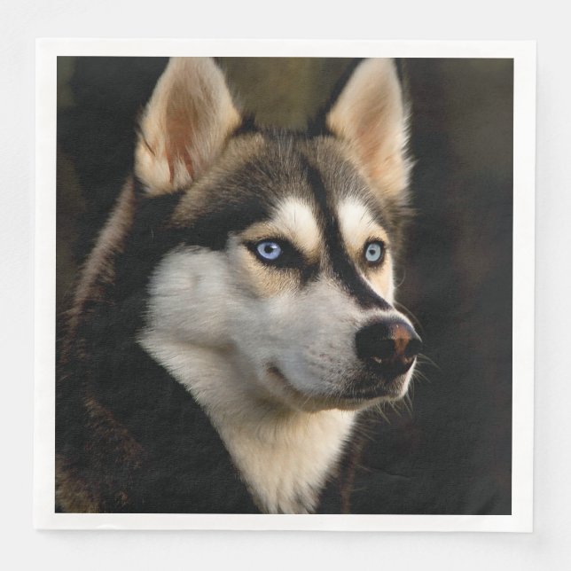 Schönes Husky Throw Kissen Serviette (Vorderseite)
