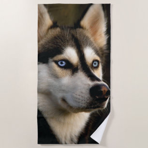 Schönes Husky Throw Kissen Strandtuch