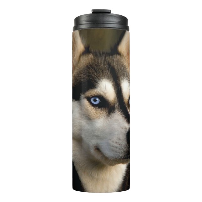 Schönes Husky Throw Kissen Thermosbecher (Vorderseite)