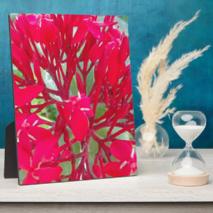 Schönes Kaleidoskop mit farbenfroher Rotmilch Fotoplatte