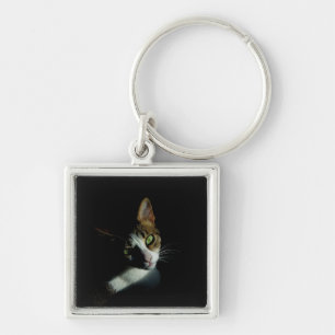 Schönes Katzen-Foto Schlüsselanhänger