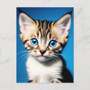 Schönes Kittenportrait mit schönen blauen Augen Postkarte