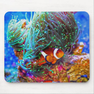 Schönes Korallenriff mit Clownfisch Mousepad