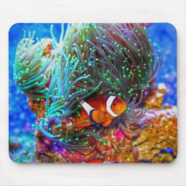 Schönes Korallenriff mit Clownfisch Mousepad (Vorne)