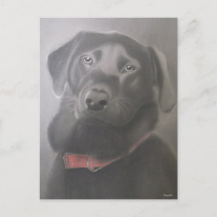 Schönes Labrador Retriever Zeichnend Postkarte