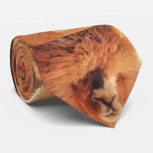 Schönes Lama-Alpaka Krawatte