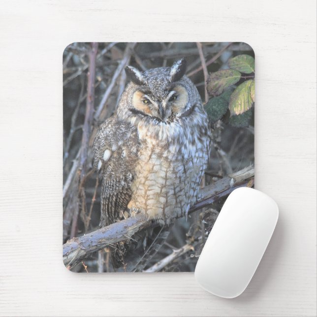 Schönes, langgezogenes Schüssel bei Sonnenuntergan Mousepad (Mit Mouse)