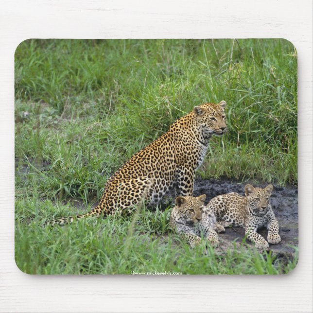 schönes Leopardjunges Mousepad (Vorne)