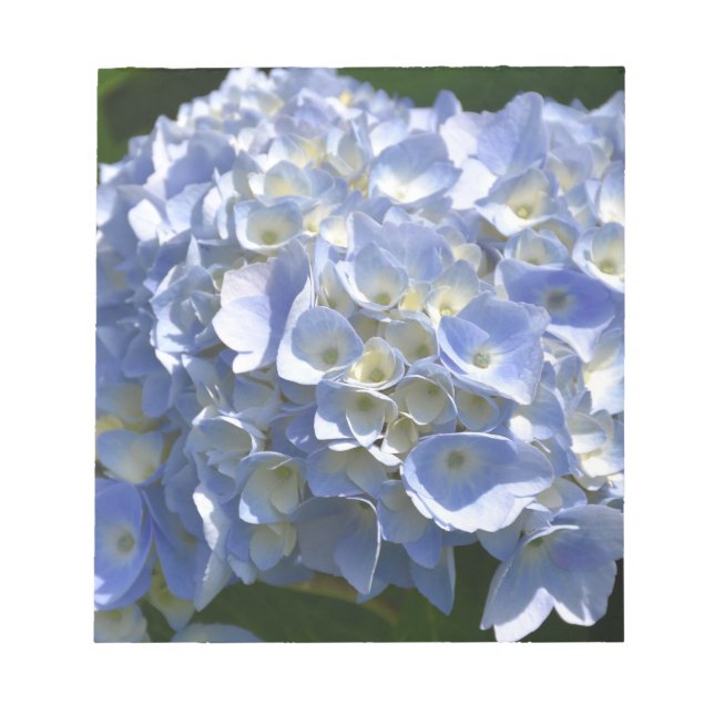 Schönes Licht blauer Hydrangea Bush Notizblock (Vorderseite)