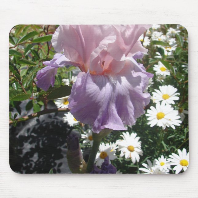 Schönes Lila Iris Blume Blumenstrauß Foto Mousepad (Vorne)