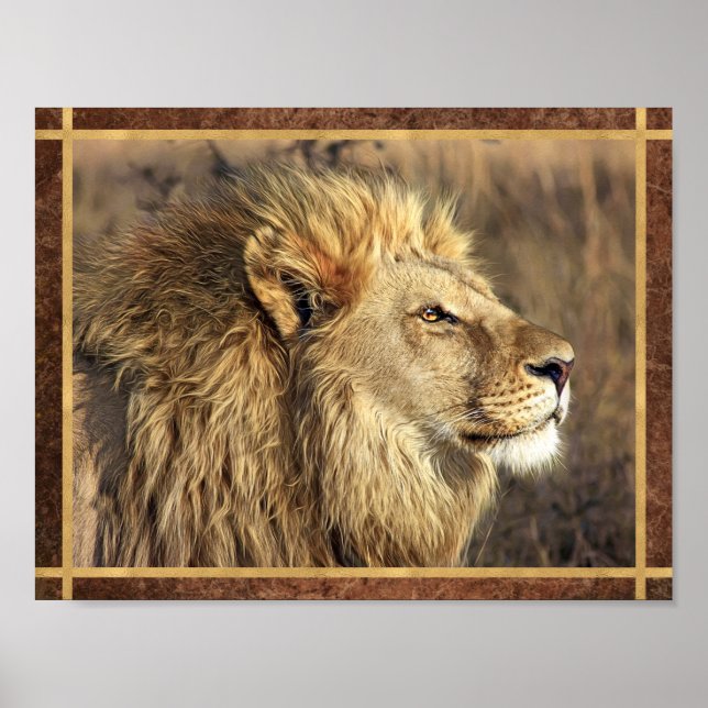 Schönes Lion Foto Poster (Vorne)