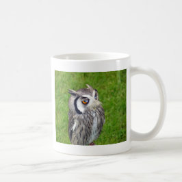 Schönes Little Owl Kaffeetasse