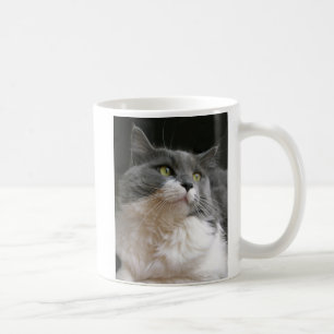 Schönes Maddie Tasse