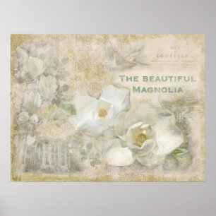 Schönes Magnolia Vintag Poster