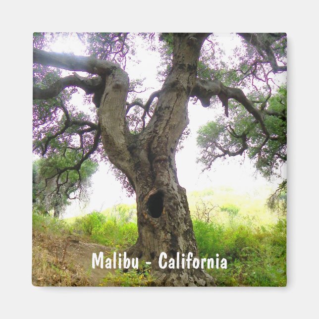 Schönes Malibu Magnet! Magnet (Vorne)