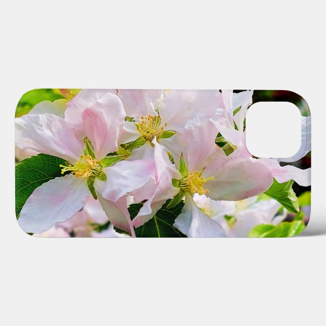 Schönes Malus asiatica Foto Case-Mate iPhone Hülle (Rückseite (Horizontal))
