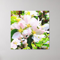 Schönes Malus asiatica Foto