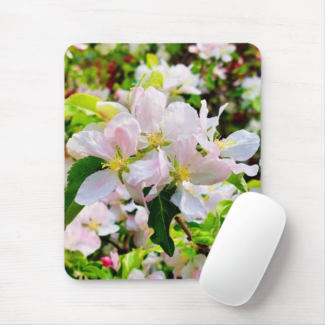 Schönes Malus asiatica Foto Mousepad (Mit Mouse)