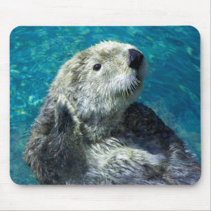 Schönes Meer Otter Niedliches blaues Wasser Mousepad