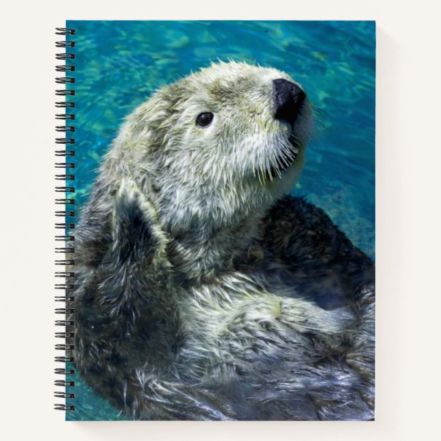 Schönes Meer Otter Niedliches blaues Wasser Notizbuch (Vorderseite)