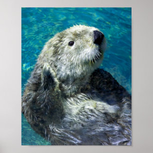 Schönes Meer Otter Niedliches blaues Wasser Poster