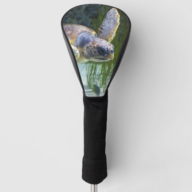 Schönes Meeresschildkrötenschwimmen Golf Headcover (Vorderseite)