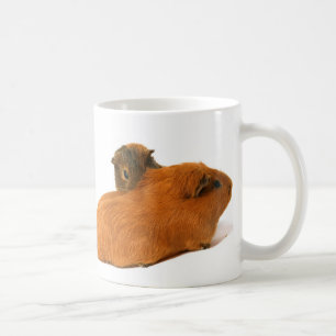 schönes Meerschweinchen zwei Kaffeetasse