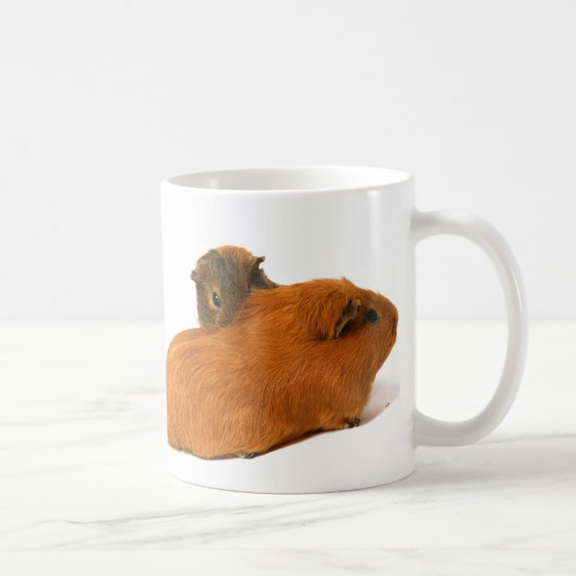 schönes Meerschweinchen zwei Kaffeetasse (Rechts)