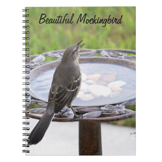 Schönes Mockingbird Birdbath Notebook Notizblock (Vorderseite)