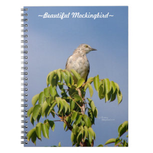 Schönes Mockingbird-Notebook Notizblock