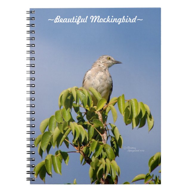 Schönes Mockingbird-Notebook Notizblock (Vorderseite)