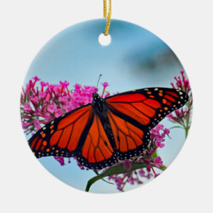 Schönes Monarch Butterfly-Foto Keramik Ornament