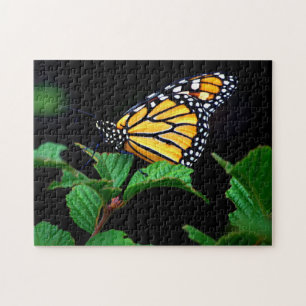Schönes Nahes Monarch Butterfly-Puzzle Puzzle