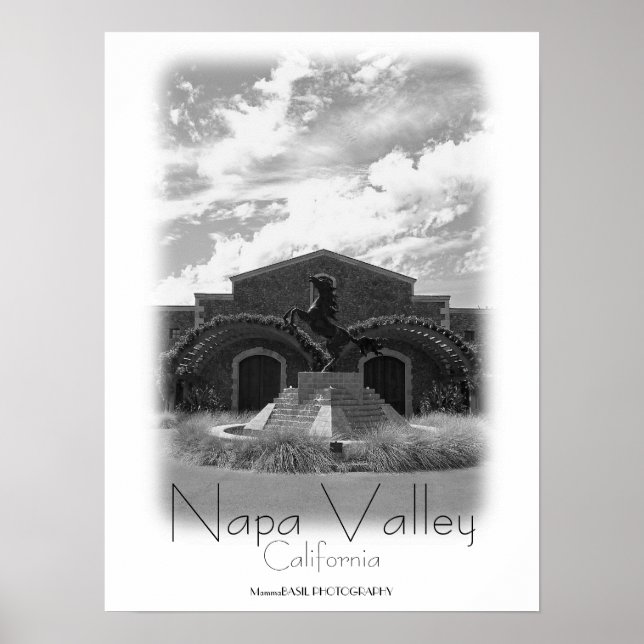 Schönes Napa Valley Poster! Poster (Vorne)