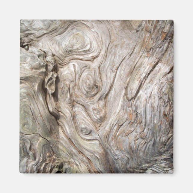 Schönes Naturkunstwerk aus Driftwood Magnet (Vorne)