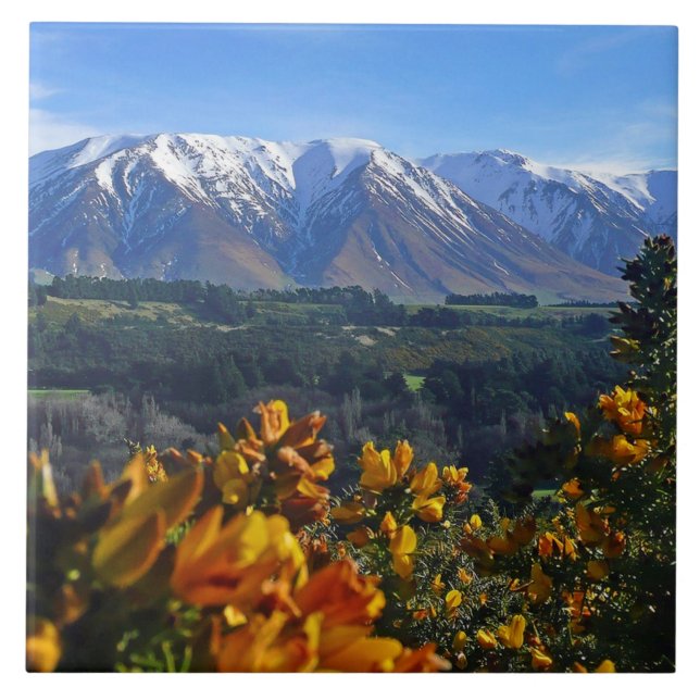 Schönes Neuseeland Fliese (Vorderseite)