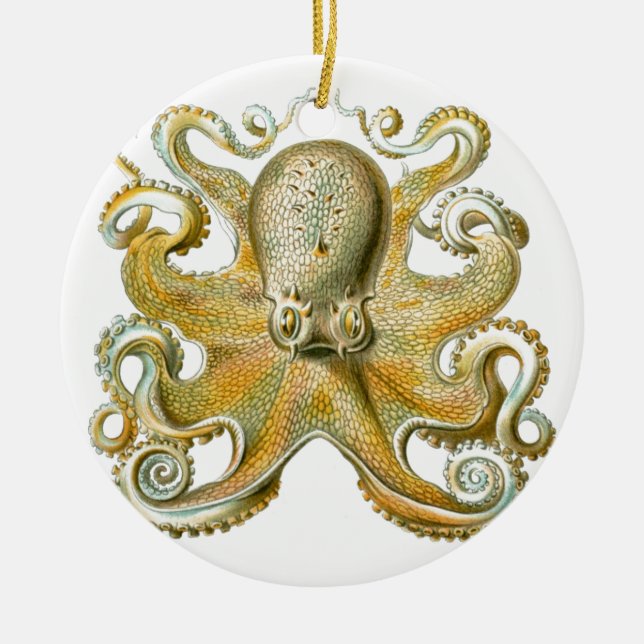 Schönes Oktopus-Bild von Haeckel Keramikornament (Vorne)