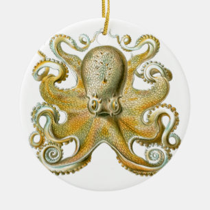 Schönes Oktopusbild von Haeckel Keramikornament