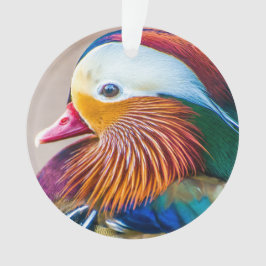 Schönes Orange & Green Mandarin Duck Portrait Ornament