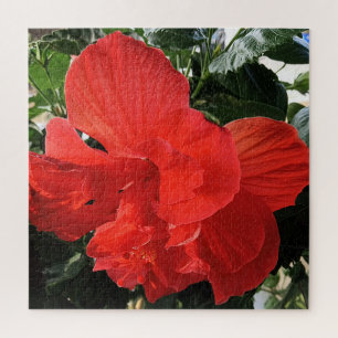 Schönes Orange Hibiskus Blume Foto Puzzle