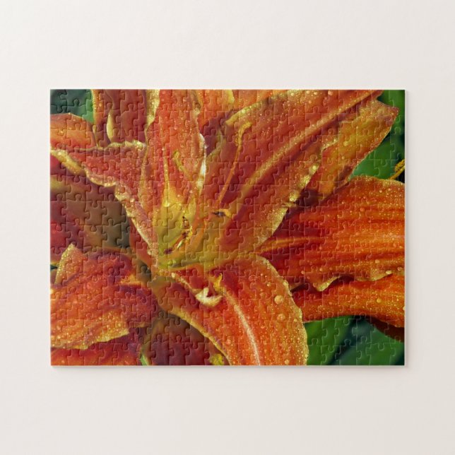 Schönes Orangenlippenpuzzle Puzzle (Horizontal)