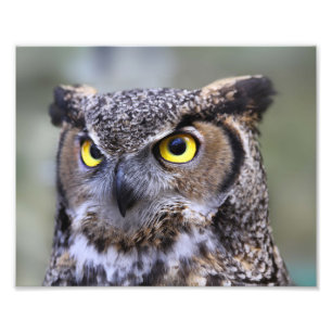 Schönes Outdoor Wildlife Scenery Foto Print