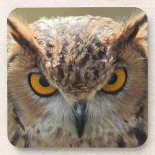 Schönes Owl Getränkeuntersetzer