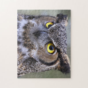 Schönes Owl Jigsaw Puzzle