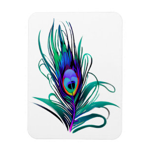 Schönes Peacock Feather Magnet