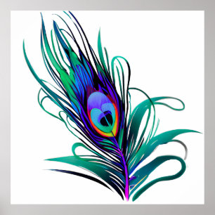 Schönes Peacock Feather Poster