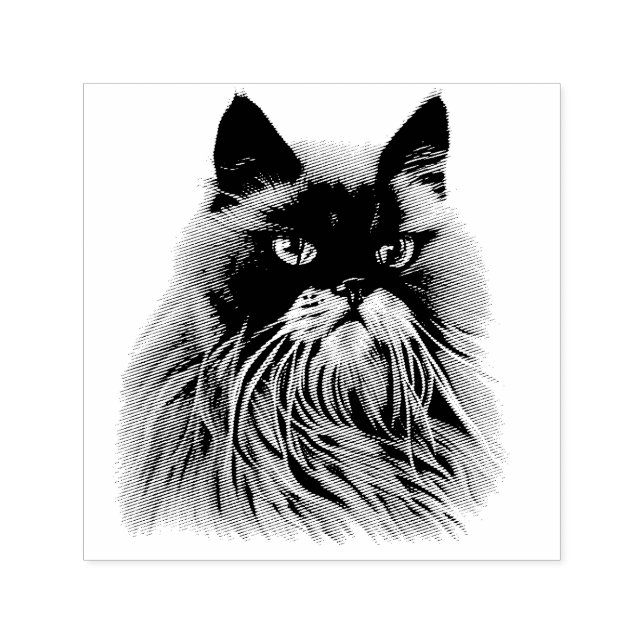 Schönes persisches Cat Portrait Permastempel (Design)